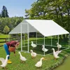 Izrielar Hühnerstall Hühnerhaus 3x3x2m Kleintierstall Produktbild-Vorschau 8