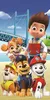 Handtuch Paw Patrol 457 70x140 cm Produktbild-Vorschau 2