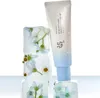 Beauty of Joseon Relief Sun Aqua Fresh Rice + B5 SPF 50+ 50 Produktbild-Vorschau 11