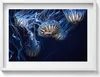 Blaue Quallen im Wasser– Wandbild mit Rahmen – Gerahmtes Produktbild-Vorschau 1