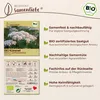 Samenliebe  Kümmel Samen | Küchenkraut - winterhart & Produktbild-Vorschau 3