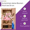 Blumenstrauß Pinke Lilien | Geschenk - frische Blumen | Produktbild-Vorschau 5