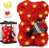 Infinity Rosen Teddy mit Geschenkbox & Lichterkette, Produktbild-Vorschau 1