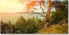 Tulup® Glas-Bild - 100x50 -Wandkunst - Wandbild hinter Produktbild-Vorschau 1