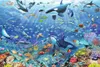 Puzzle 3000T Bunter Unterwasserspaß Produktbild-Vorschau 2