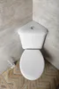 Aqualine CLIFTON Eck-WC, Betätigungsplatte 3/6l, Abgang Produktbild-Vorschau 2