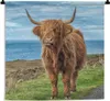 MuchoWow® Wandteppich Wandbehang Schottische Hochlandrind - Produktbild-Vorschau 1