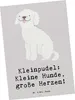 Mr. & Mrs. Panda Postkarte Kleinpudel Liebe - Grau Pastell Produktbild-Vorschau 1