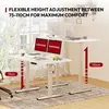 SANODESK Biurko z regulacją wysokości elektryczne 120x60cm Podgląd zdjęcia produktu 2