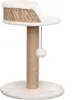 vidaXL Strom pro kočky se škrabadlem 49 cm Sea Grass Náhled obrázku produktu 3