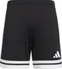 adidas SQUADRA 25 SHORTS  Herren Trainingsshorts Produktbild-Vorschau 11