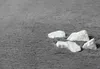 Four white stones are placed on a textured gray surface, possibly a rug. Produktbild-Vorschau