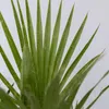 A close-up view of palm leaves. Podgląd zdjęcia produktu