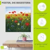 ARTland Poster Mohnblumen Landschaft I Größe: 50x50 cm Produktbild-Vorschau 2