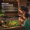 PawHut Terrarium dla gadów – szklane terrarium z Podgląd zdjęcia produktu 4