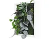 Pflanzenbild Dschungeldesign Rahmen weiß 22x22 cm Produktbild-Vorschau 2