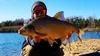 Method/Feeder Fluo Pop-Up Micro Boilies 8mm/20g Červený Náhled obrázku produktu 2