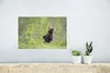 MuchoWow® Poster Bär - Baum - Wald 30x20 cm - Plakate - Produktbild-Vorschau 5