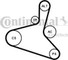 Set di cinghie Contitech con nervatura a V per Anteprima dell’immagine prodotto 2