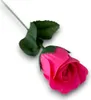 pinke Baderose am Stiel Voir les images du produit