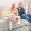 Trixie Hundespielzeug Teddy aus Plüsch Produktbild-Vorschau 4