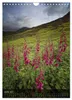 Wunderschottland / UK-Ausgabe (Wandkalender 2027, DIN A4, Produktbild-Vorschau 9