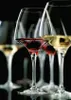Several wine glasses filled with red and white wine, set against a black background. Náhled obrázku produktu