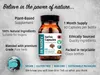 DR WAKDE'S Sariva Capsule (Anantomoola | Hemidesmus Anteprima dell’immagine prodotto 4