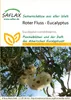 Artikelbild 1 von 'Roter Fluss-Eucalyptus' aus der Kategorie Exotische Samen Podgląd zdjęcia produktu