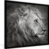 MuchoWow® Gerahmtes Poster Löwe - Tiere - Porträt 40x40 cm Produktbild-Vorschau 1