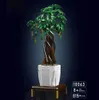 COIL Spielbausteine, Bauklötze, Baukasten, Bonsai-Baum, Produktbild-Vorschau 2