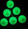 DONIC SCHILDKRÖT TT ball GLOW IN THE DARK POLY 40+, 6 kusů Náhled obrázku produktu 12