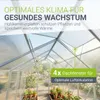 JUSKYS® Gewächshaus 7,2 m², inkl. Fundament, Produktbild-Vorschau 3