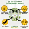 Fenster Brotkäferfalle mit Spezial-Lockstoff – 9x Fallen – Produktbild-Vorschau 7