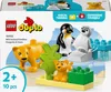 10442 - LEGO DUPLO - Familles d'animaux sauvages : Voir les images du produit 2