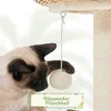 A Siamese cat playing with a hanging plush ball attached to a cat tree. Podgląd zdjęcia produktu