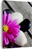 Bild auf Leinwand - Leinwandbild - Einteilig - Stein Blume Produktbild-Vorschau 1