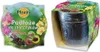 Terriccio per orchidee con set di vasi da 0,65 l Anteprima dell’immagine prodotto 1