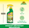 Neudorff Neudorff BioKraft Grundstoff Brennnessel AF 500 ml Produktbild-Vorschau 3