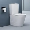 doporro WC à Poser Céramique Blanc Toilette avec Réservoir Voir les images du produit 1