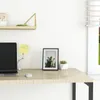 A desk with a laptop, a mouse, a framed picture of a plant, and a small potted plant. Produktbild-Vorschau