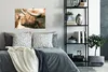 MuchoWow® Poster Schottischer Highlander - Schmetterling - Produktbild-Vorschau 4