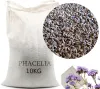 Phacelia Gründünger 10 kg Humusbildung Bodenverbesserung Produktbild-Vorschau 1