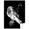 MuchoWow® Poster Krähe - Vogel - Schwarz - Weiß 60x80 cm - Produktbild-Vorschau 1