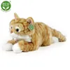 RAPPA Peluche chat tabby rouille 40 cm ECO-FRIENDLY Voir les images du produit 5