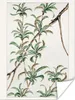 MuchoWow® Poster Dschungel - Japanisch - Vintage 30x40 cm - Produktbild-Vorschau 1
