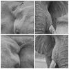 Bild auf Leinwand - Leinwandbild - 5 Teile - Elefant Afrika Produktbild-Vorschau 8
