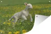 MuchoWow® Produktbild-Vorschau 1