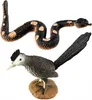 Safari Ltd Desert TOOB, 3 Jahr(e), Desert, Mehrfarbig Produktbild-Vorschau 5