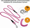 Curli Stretch Comfort Leine Fuchsia, Größe: M Produktbild-Vorschau 3